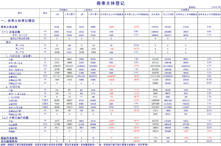 2020年3月份商事主体统计报表1.png