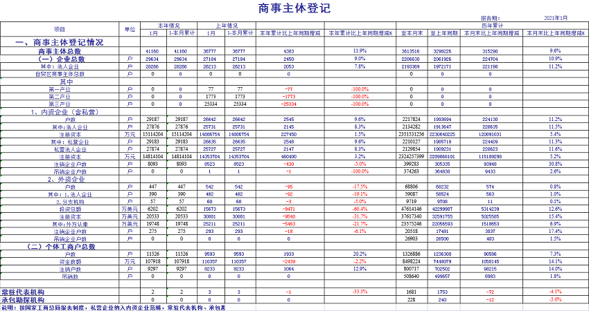 2021年1月商事主体统计报表1.png