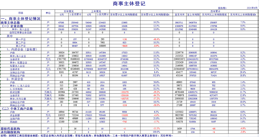 2021年6月商事主体统计报表1.png