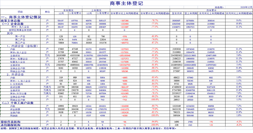 2020年12月份商事主体统计报表1.png