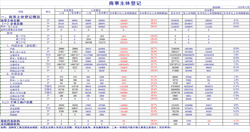 2020年11月份商事主体统计报表1.png